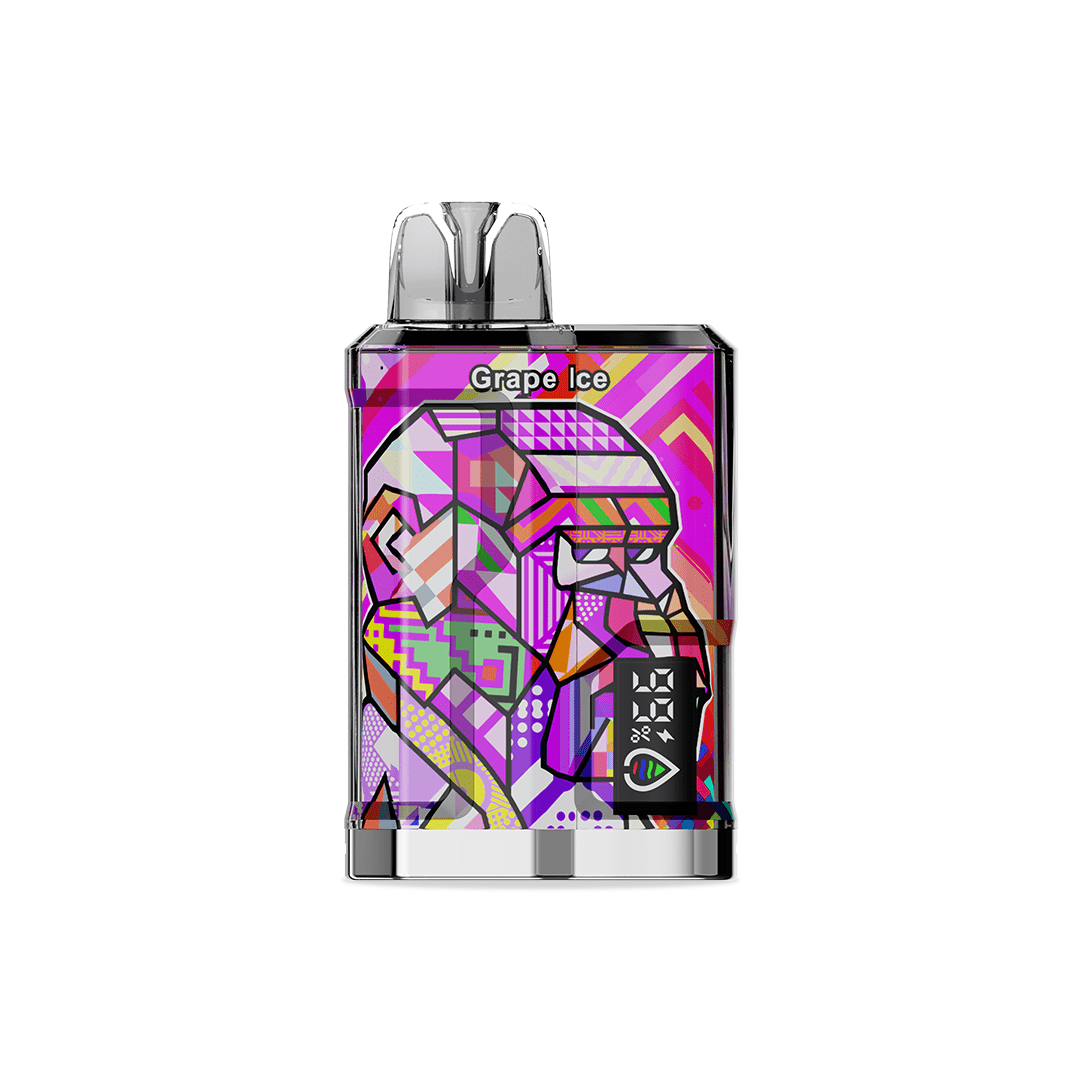 DragBar B12000 - Grape Ice | Vape Desechable