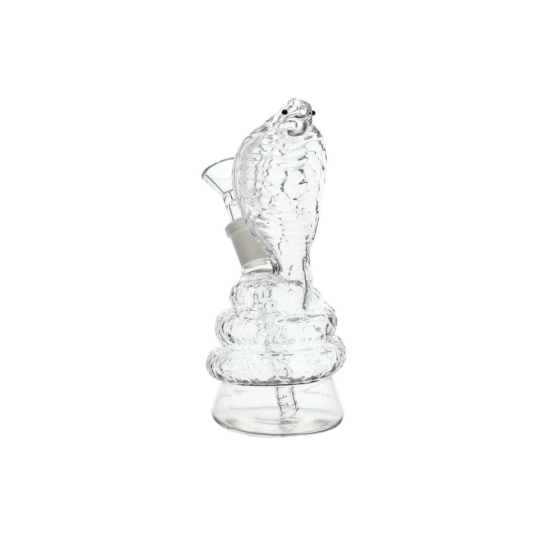 Bong Cobra Snake Rig 6.5"